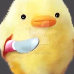 Meet your Posher, Logan